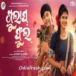 Gulap Phul Khusi Dhana